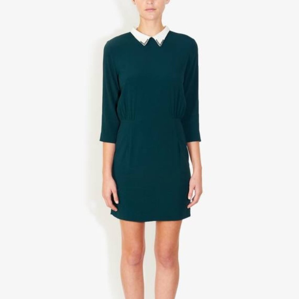 Sandro Dress - Model Rodeo